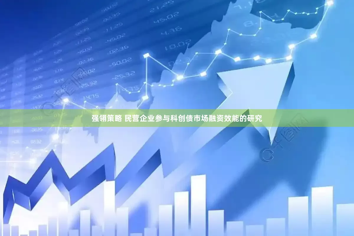 强翎策略 民营企业参与科创债市场融资效能的研究