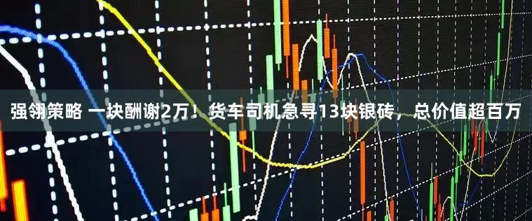 强翎策略 一块酬谢2万！货车司机急寻13块银砖，总价值超百万